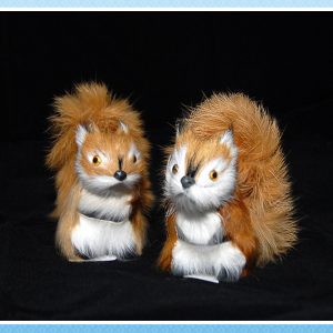 Белка маленькая