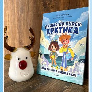 Прямо по курсу – Арктика
