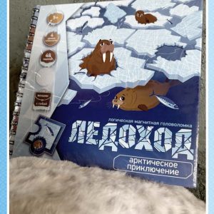 Логическая магнитная головоломка "Ледоход"