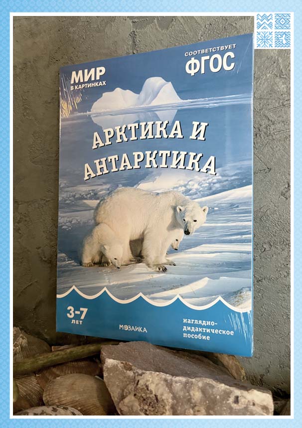 Наглядно-дидактическое пособие "Арктика и Антарктика " — изображение 2