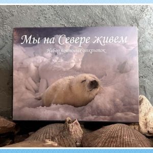 Набор открыток «Мы на севере живем»