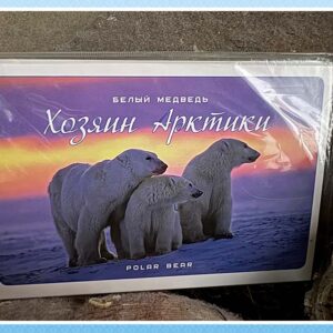 Набор открыток «Белый медведь — хозяин Арктики»
