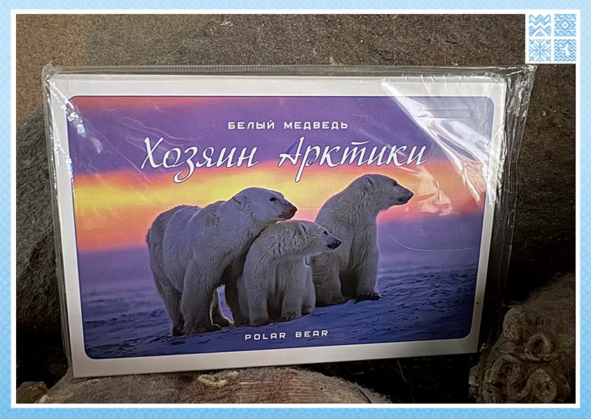 Набор открыток «Белый медведь — хозяин Арктики»