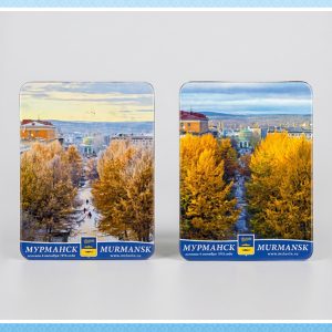 Магнит Славин в ассортименте