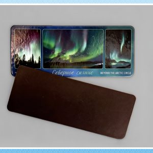 Виниловые магниты Мурманск 60x148